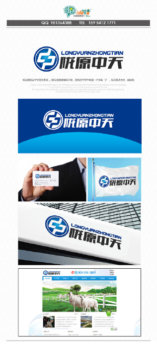 “陇原中天”(及拼音)+图形LOGO标志及企业VI设计