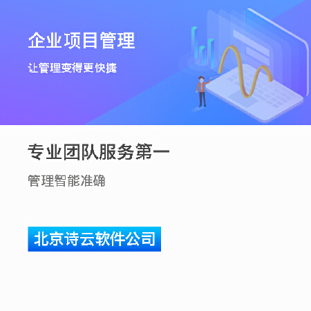 企业项目管理