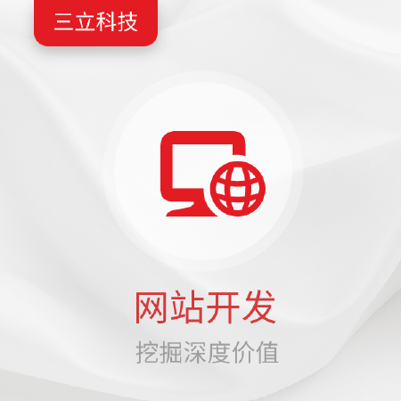 企业网站，应用系统开发