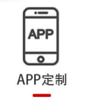 软件开发  APPD定制