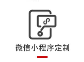 软件开发  微信小程序开发