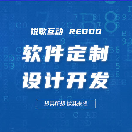 软件定制设计开发