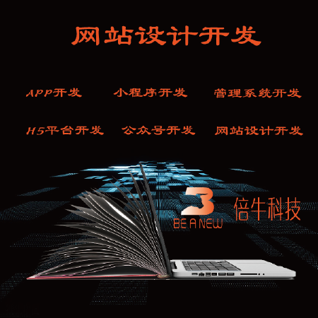 网站设计开发