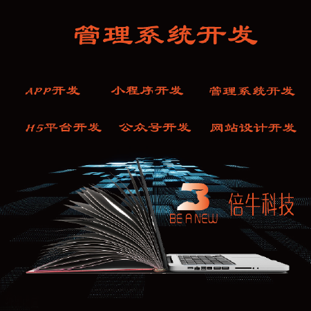 管理系统开发