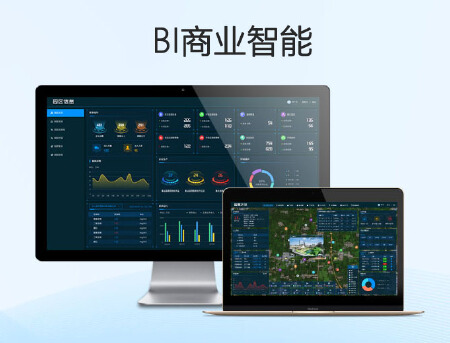 商业智能定制化开发