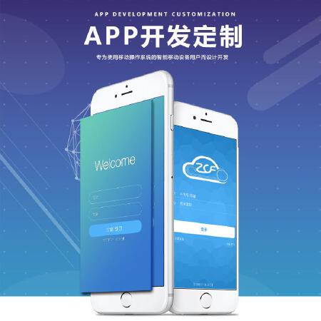 APP定制化开发