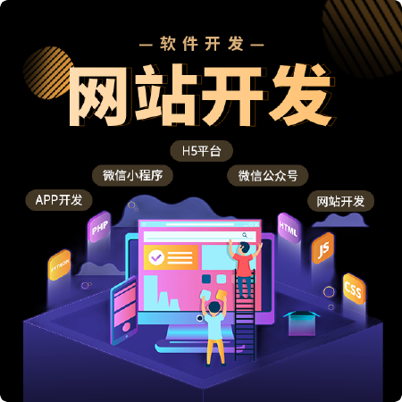 网站定制开发