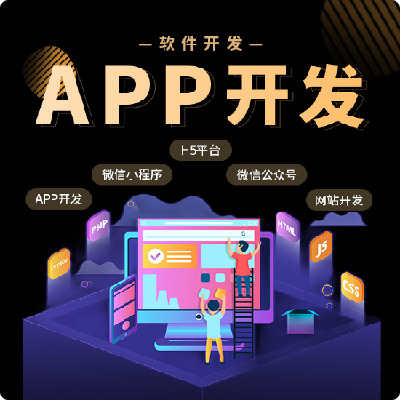 APP定制开发
