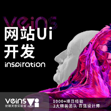 网站ui开发-Veins纹理灵感实验室