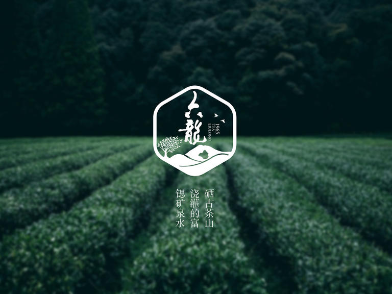 农产品包装设计理念是什么?六龙茶品牌包装案例设计赏析