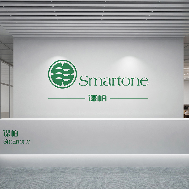 谋帕风控 LOGO设计