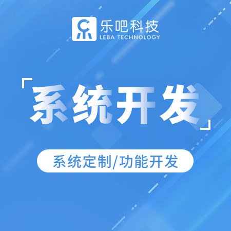 软件系统开发，满足客户个性需求