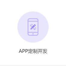 APP定制开发