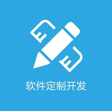 企业系统定制开发