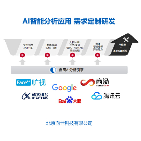 图像/视频/语音AI识别与分析处理相关的定制研发