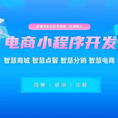 电商小程序开发
