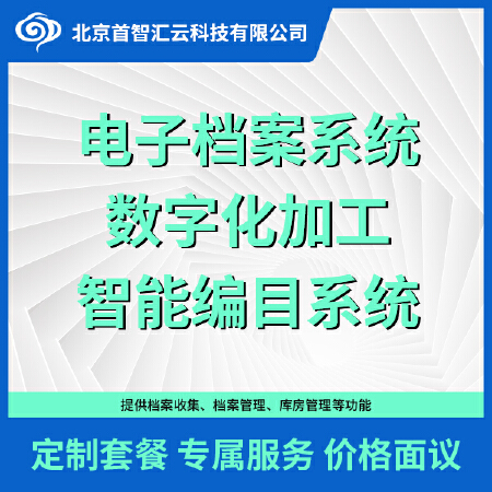 软件开发、电子档案系统