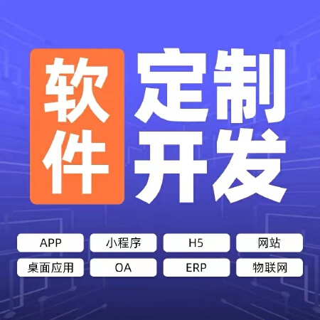 APP开发定制物联网网站OA ERP小程序定制