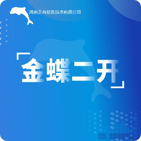 金蝶软件二次开发