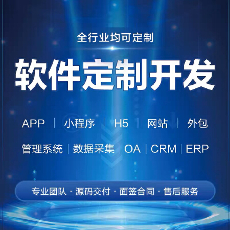 软件定制开发