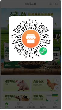 综合电商小程序