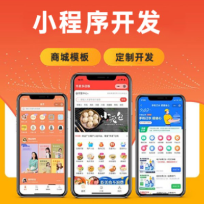 微信小程序|定制开发|企业版小程序|商城小程序