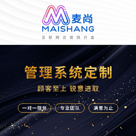 管理系统定制