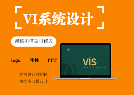 VIS系统设计