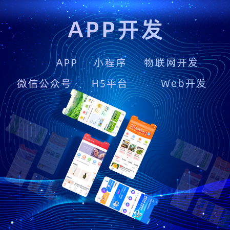 APP定制开发