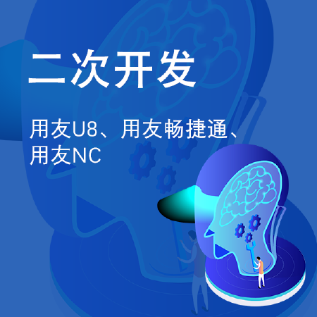 二次开发技术支持