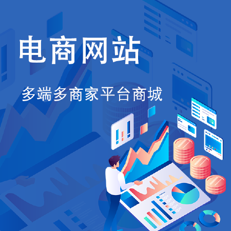 电商网站建设