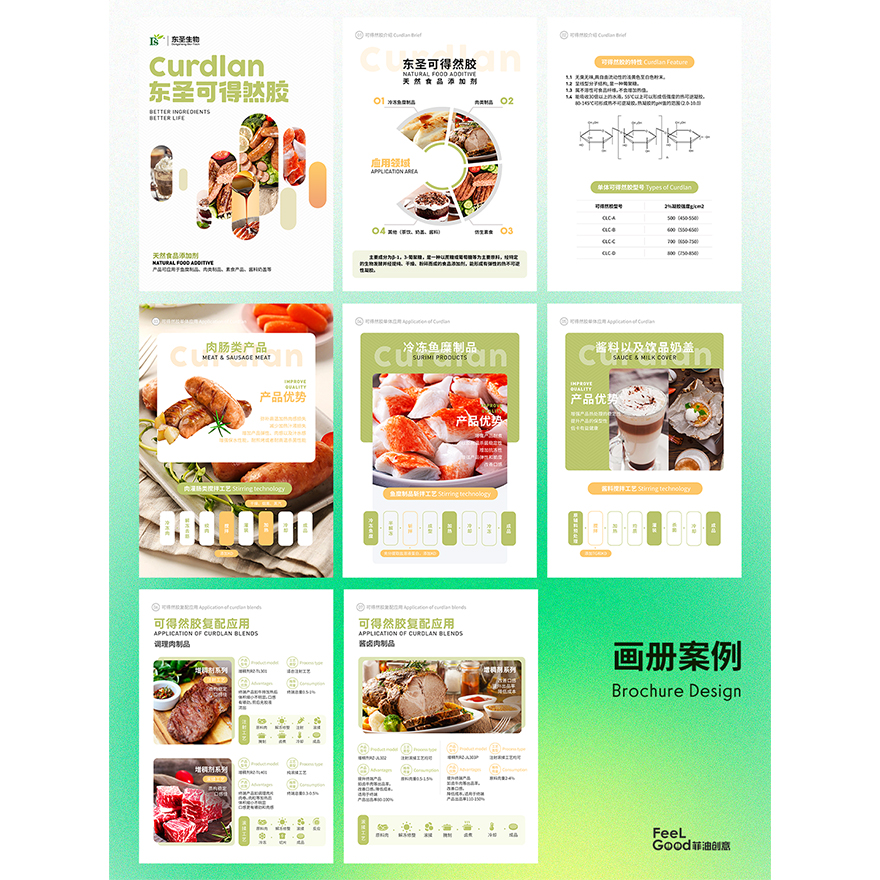 企业画册宣传册