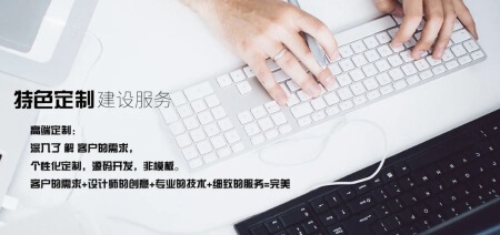 网站定制开发