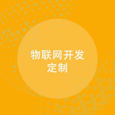 物联网开发定制