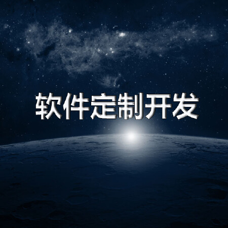 软件定制开发