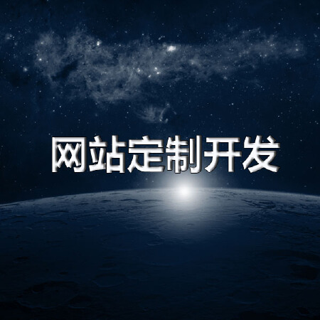 网站定制开发