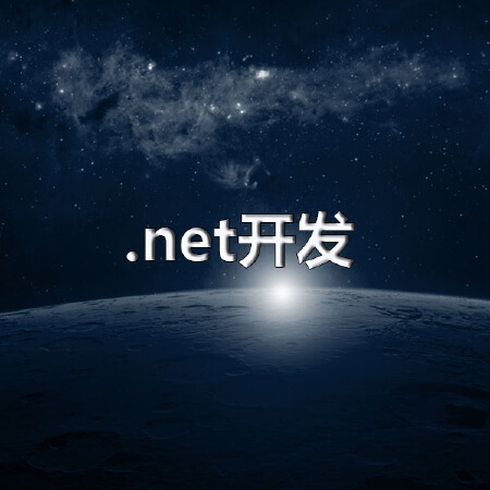 .net定制开发