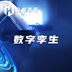 数字孪生服务项目