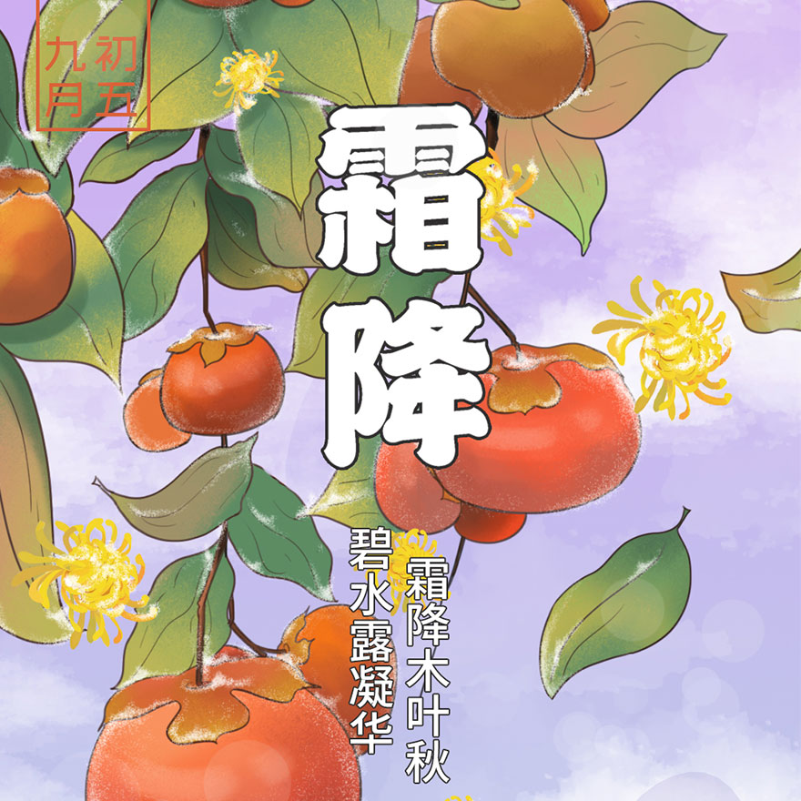 平面、插画案例