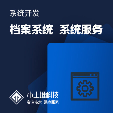 档案系统研发 系统软件开发