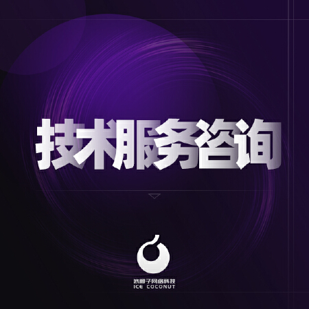 全行业软件技术服务咨询