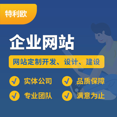 企业网站开发