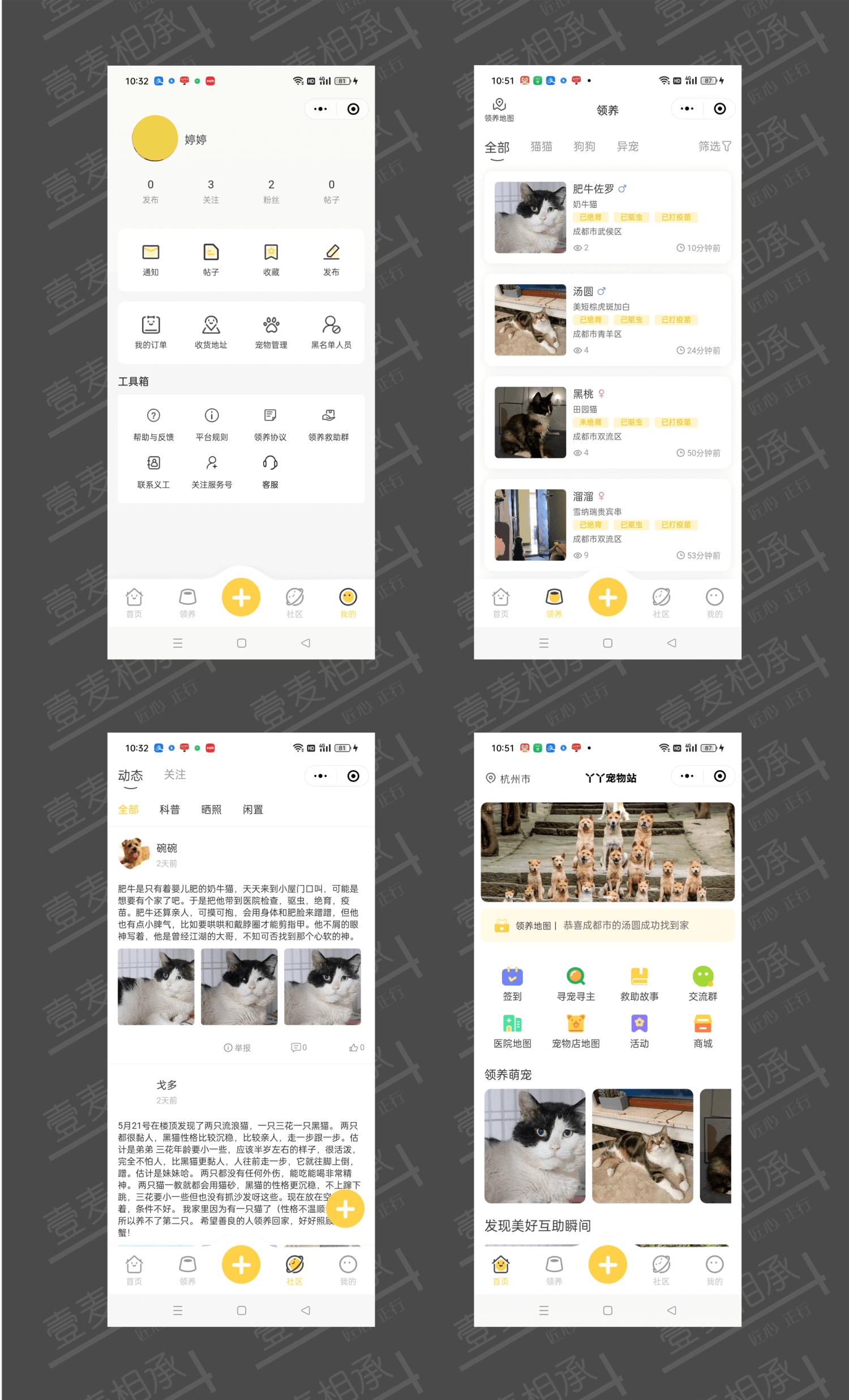 成都宠物领养服务平台