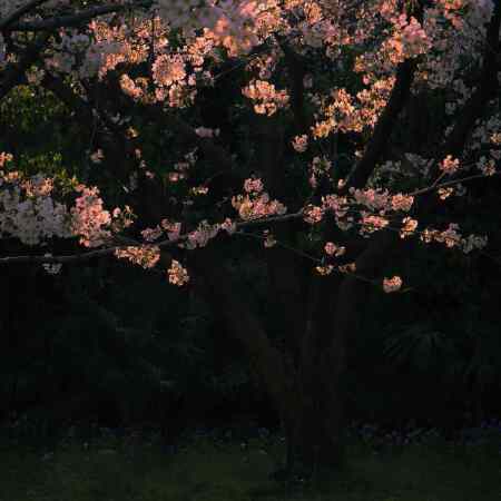 八字起名，公司起名，产品起名