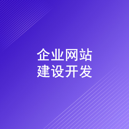 企业网站建设开发