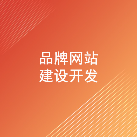 品牌网站建设开发