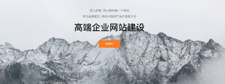 专业的网站建设