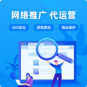 线上网络推广+代运营