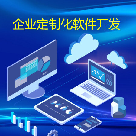 企业定制化软件开发