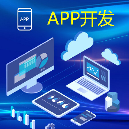 企业定制化APP开发